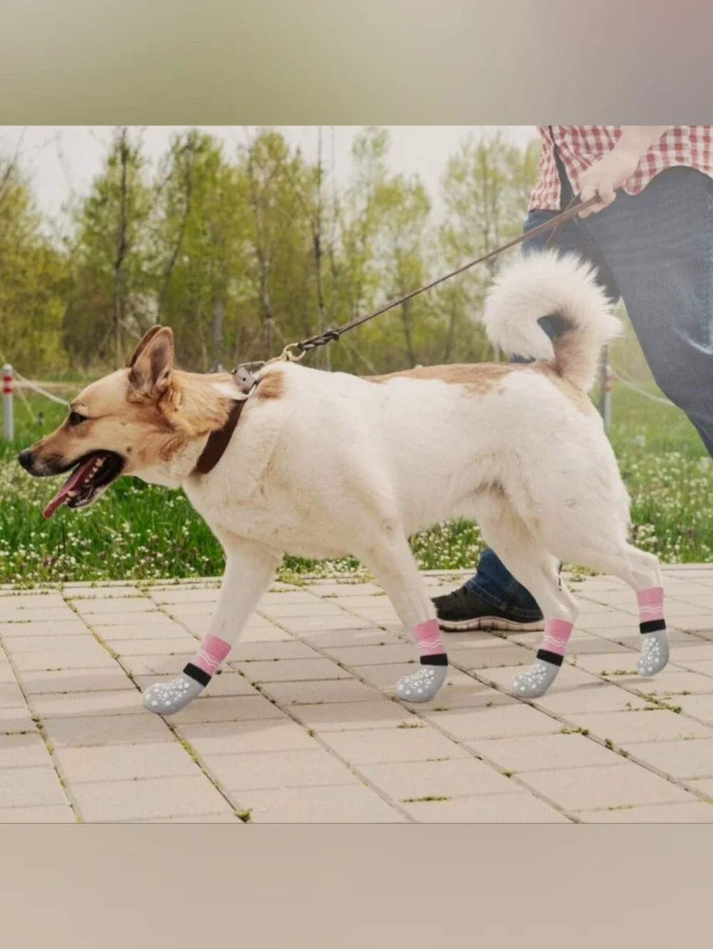 BINGPET Double Side Anti-Slip Dog Socks